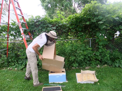 Joe Meyer of Four Seasons Apiaries shakes bees into the super. (Photos by D.J. Alexander)