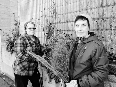 Mary Maguire Lerman (left) and Carol Hagerty work on the St. Anthony Park Garden Club’s winter garden in the flower boxes in front of the Como Avenue post office. Garden club members save their dried plant materials for the garden, which Lerman says provides  something pleasant to look at “for two-legged mammals and the birds will enjoy having a seed source for their winter snacks.” Lerman recently received the Minnesota State Historical Society’s Life Award. (Park Bugle photo by Kristal Leebrick)