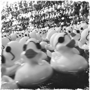 web_commentary_state-fair